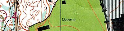 Stafett Moskogen