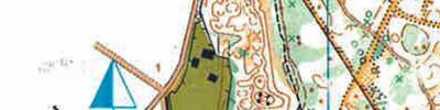Tweedaagse van de veluwe 2017 II
