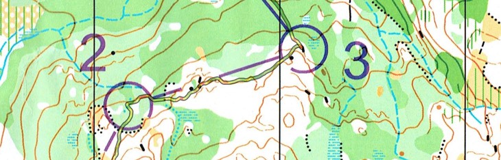 Elgdilten