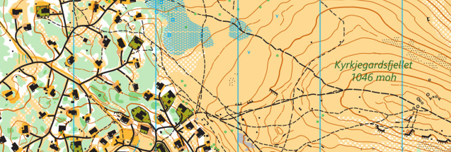 Venabygdsfjellet
